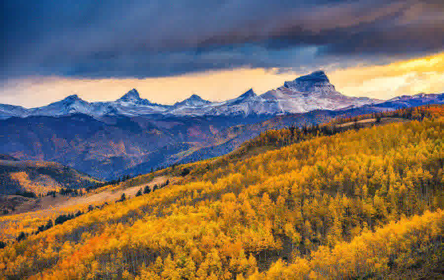 Sunset over snow-capped Rocky Mountain peaks and hillsides of gold aspen